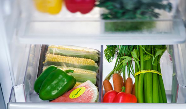 Food industry